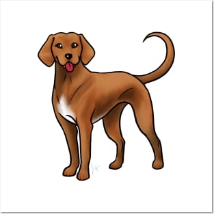 Dog - Redbone Coonhound - Red and White Posters and Art